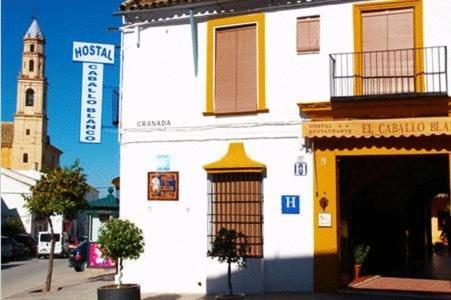 Hostal El Caballo Blanco Осуна Екстериор снимка